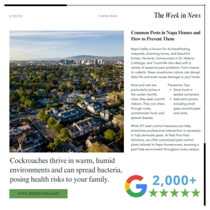 Common Pests in Napa Homes and How to Prevent Them